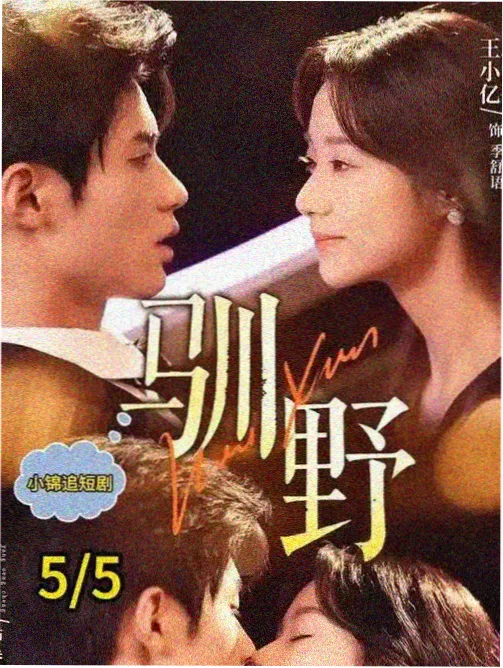长夜收视率 剧集海报